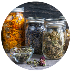 Wildfora — Whole Herbs Collection  Pure, whole botanicals from the wild forests. The Wildfora Whole Herbs Collection features whole roots, sticks, seeds, pods and leaves 