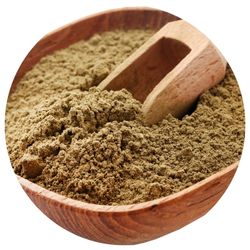 Wildfora — Bhasma Pisti Collection 